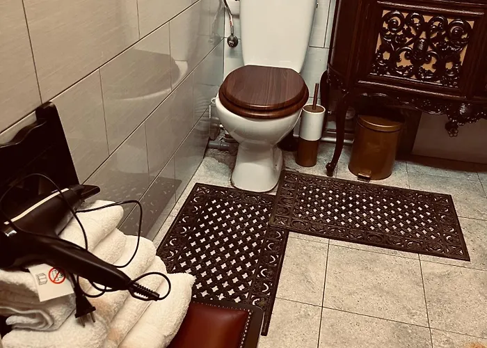 Apartament Classic Story In Old I *